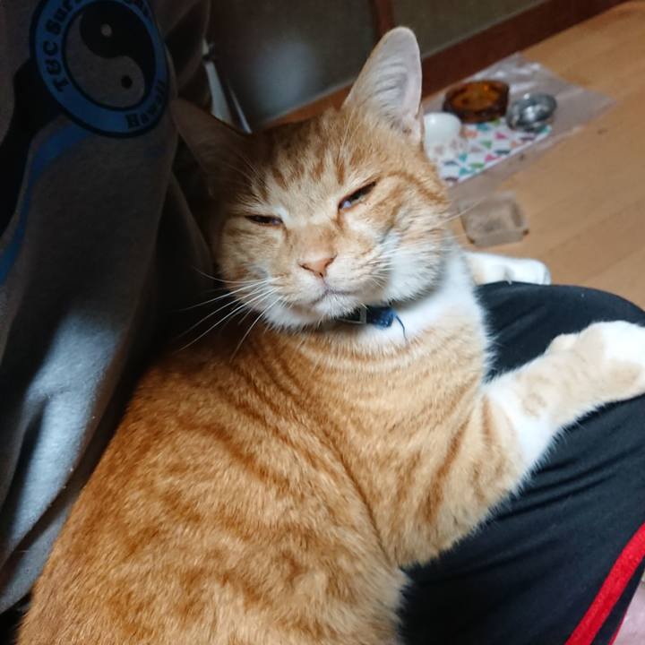 941a1459 eaed 4ee4 b029 c077ecf0c97a 1607286368779