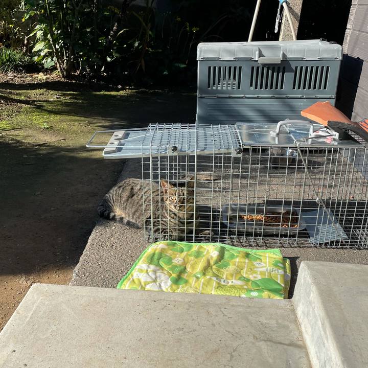 941a439f 3847 45b0 b81a d70cc5342859 1635044317600