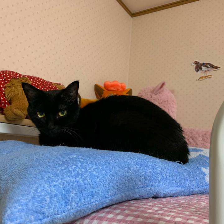 941a4971 3577 4ea9 9ed8 38bde32e1cf1 1571843013351