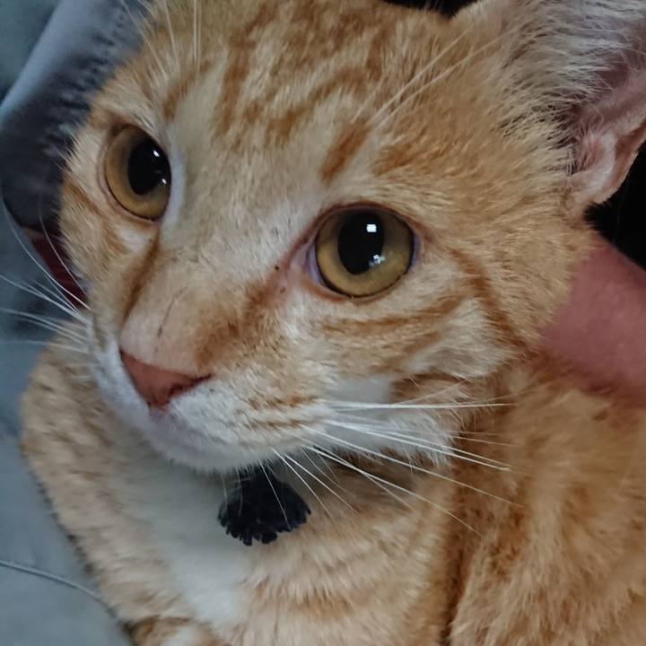 941a59b9 154e 4ff4 a3f8 5547b10c6f78 1561671844622