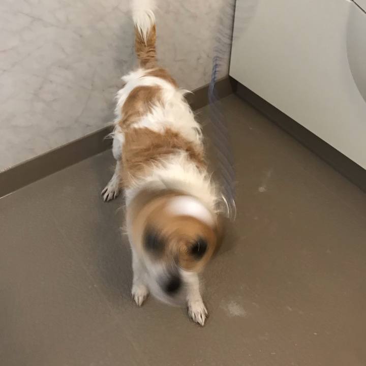 941a675b e6d7 432e 89f1 47eb238f37c0 1559625449150