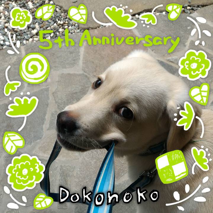 941a6b42 a1da 4f59 a492 9f2a2943602f 1622855125868