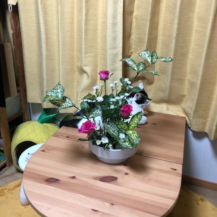 941ad993 d245 4528 93a0 acf7321c4122 1539812750289