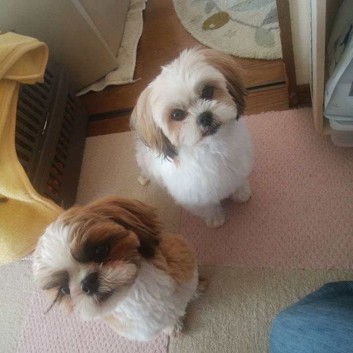 941b0ae4 98f4 4771 b17c e5be61937dab 1552629159102