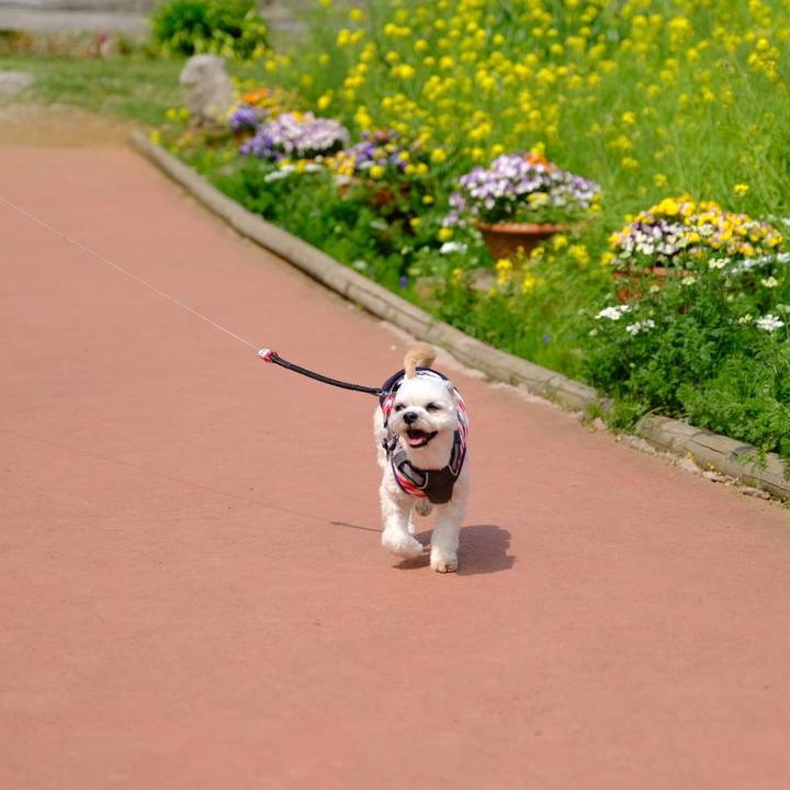 941b205e 8fa1 4794 9367 3e84bf5d7c1c 1617279841736