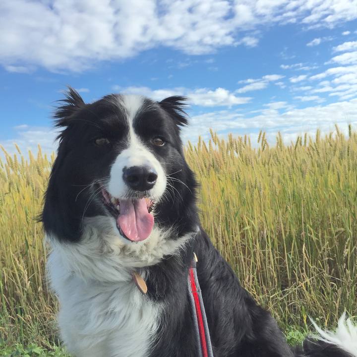 941b371b b234 4019 86fc c7d95066f66b 1526943655965