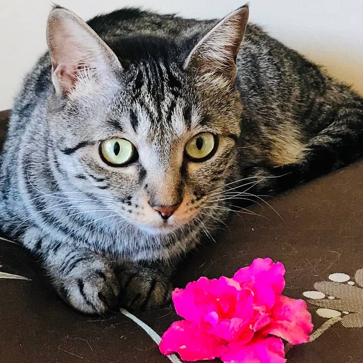 941b86b3 fa47 4524 a2a8 7e59fe5a29da 1586869802176