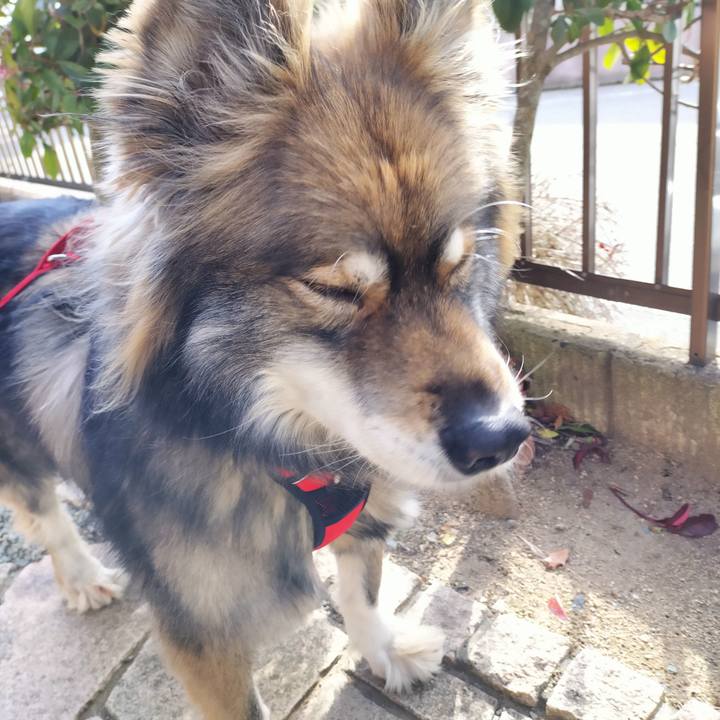 941b86bb a86a 4298 82e9 f4c229e71d86 1706419011444