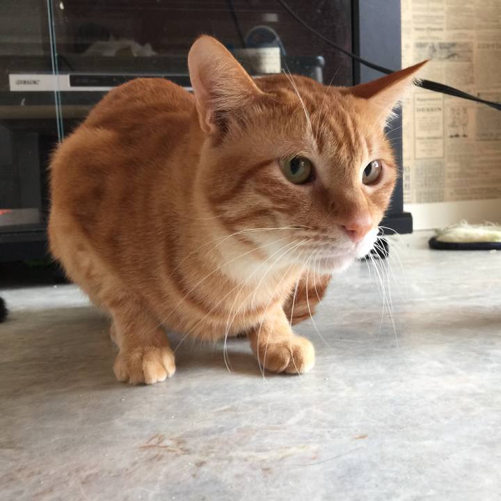 941bcaed 9673 48bf 96f1 555f0866eb28 1553288844350