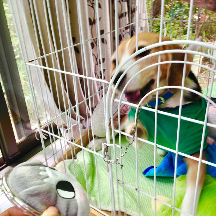 941bdc80 bc9e 44a2 8bab 1b0933d90af8 1759191239849