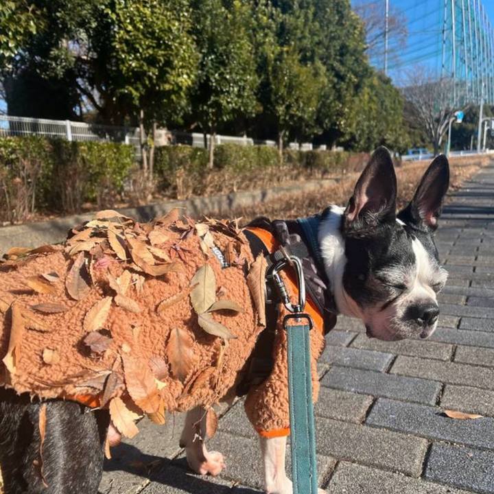 941bf66f 05b7 446a 9a39 b643cd44d817 1772583359464