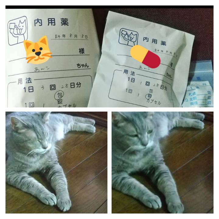 941c0f82 2cb4 4df5 a364 e760766f14e5 1659946237382