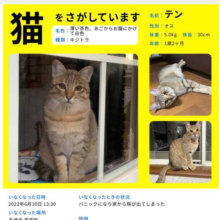 941c1781 4ec1 4c24 9eb5 09da7282aad3 1654947877262