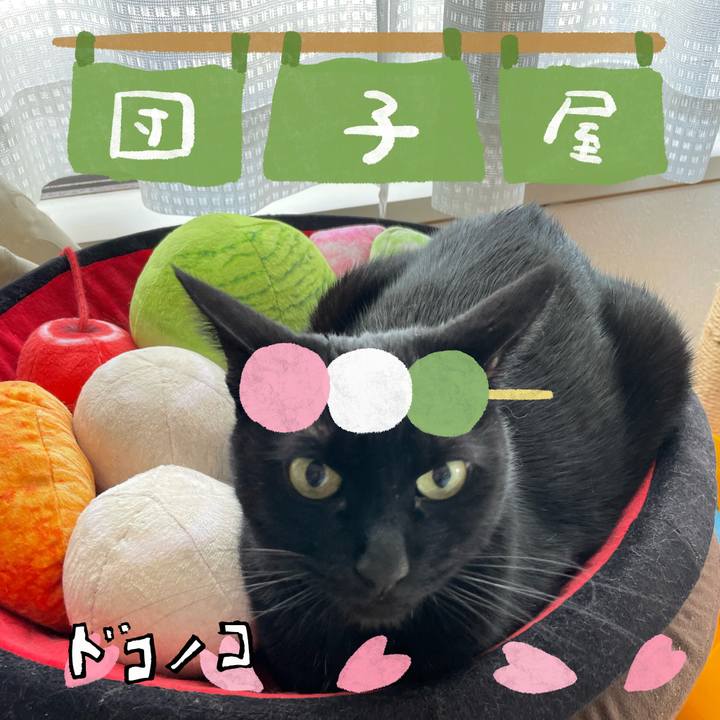 941c35c1 4d68 4785 8d47 794addc42da1 1712230120972