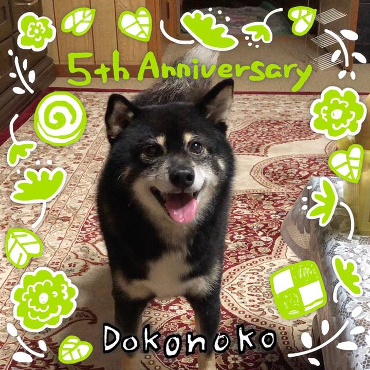 941c41b1 a918 4ca3 98f1 a2a2741f1b3a 1622883916091