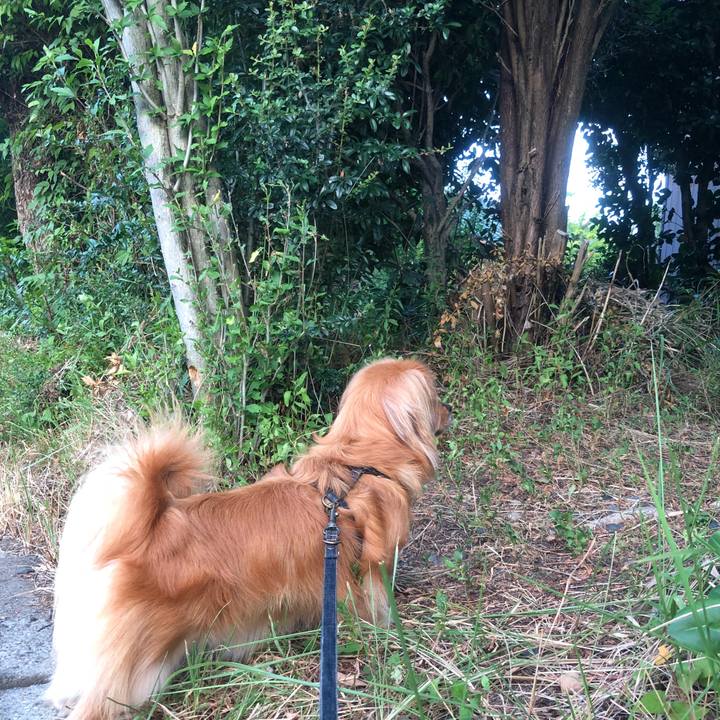 941c577e 401b 4248 9efd e4391864cb3f 1533243035125