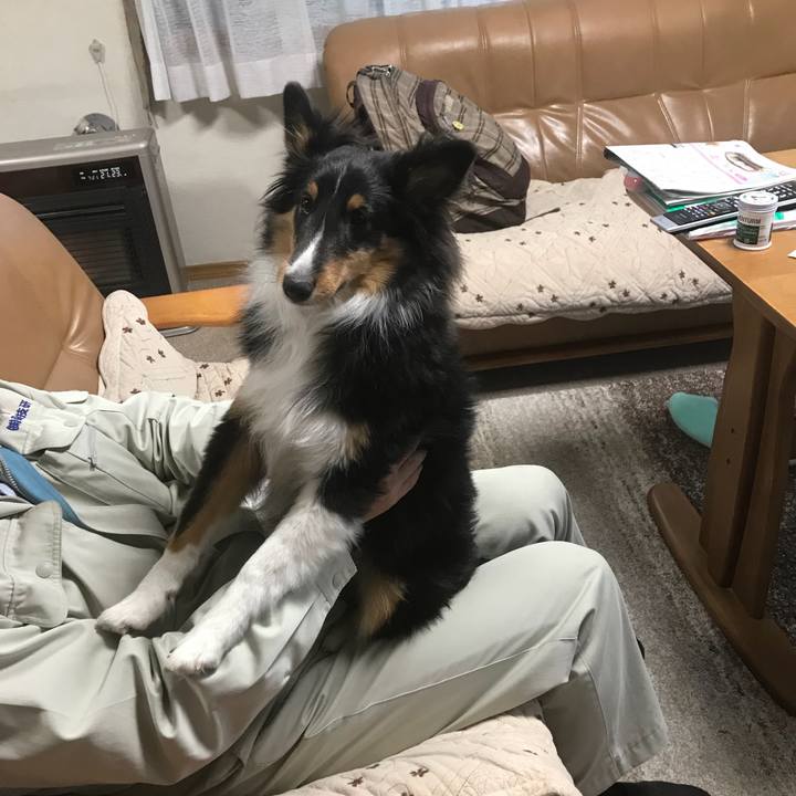 941ca84f 30d0 4a11 861f 4fb9cbfcb394 1519856563047