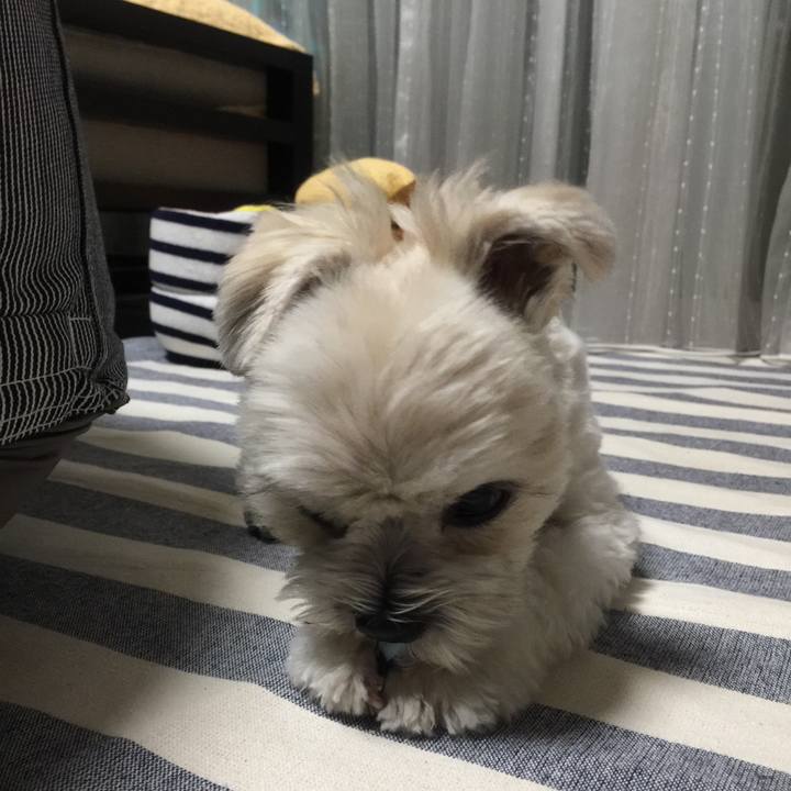 941cbe9c 6924 4ff4 b6de 985cf9244a28 1510490109380