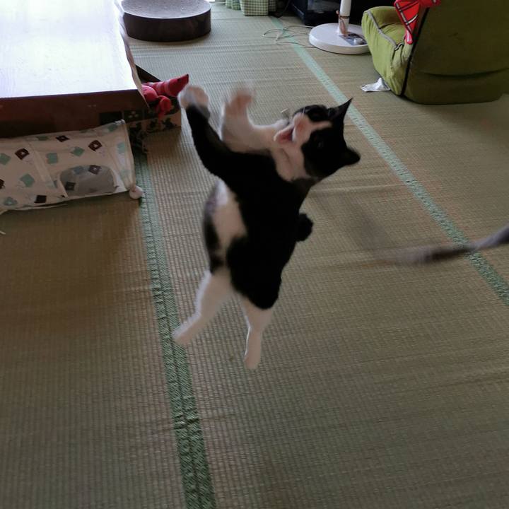 941ccdcc 93f6 4037 bc44 063fd59fc0bc 1656905103377