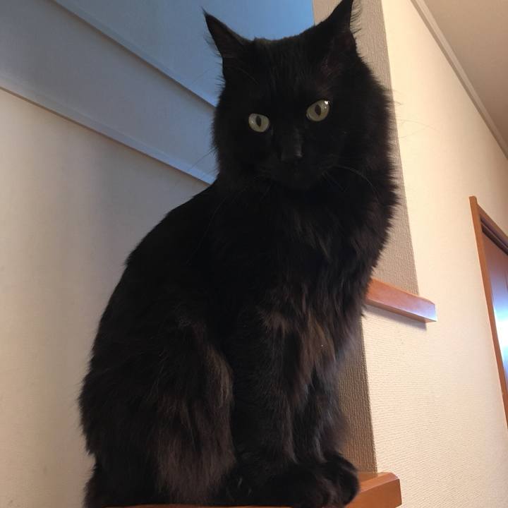 941cf7a7 b251 4c5a 9ab5 a3e532749de1 1527991373654