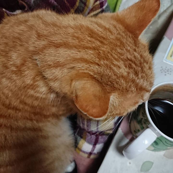 941d3e4c 557f 4808 bc26 b42cc955a8bb 1583530234680