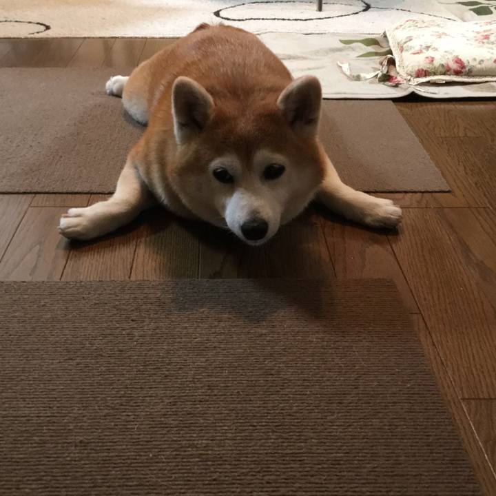 941d5b8b 2aa6 44ce b165 43ee1abd1814 1531452226238