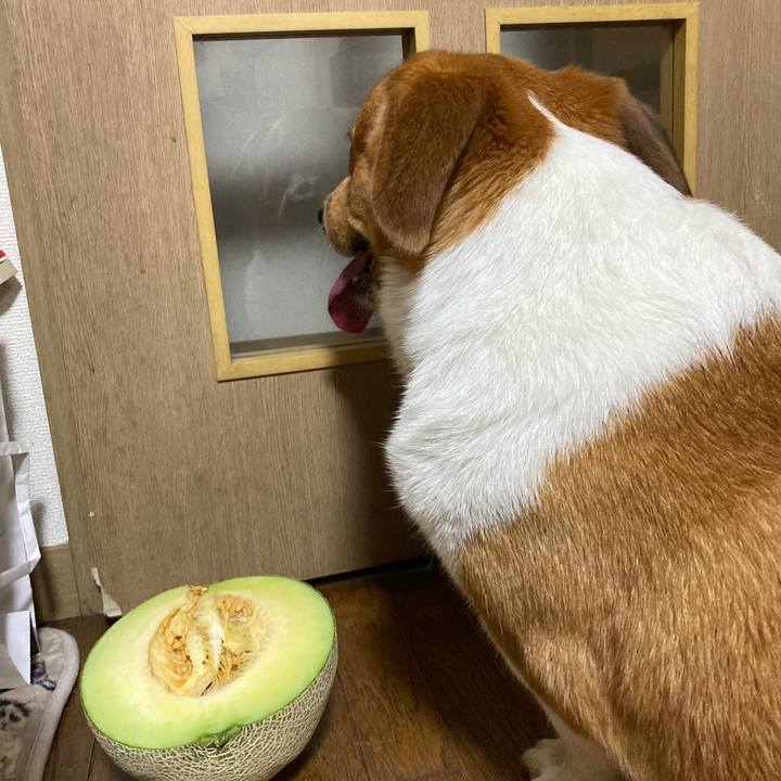 941d65b2 43ee 450c 8687 c2f129de7cb9 1692690772280