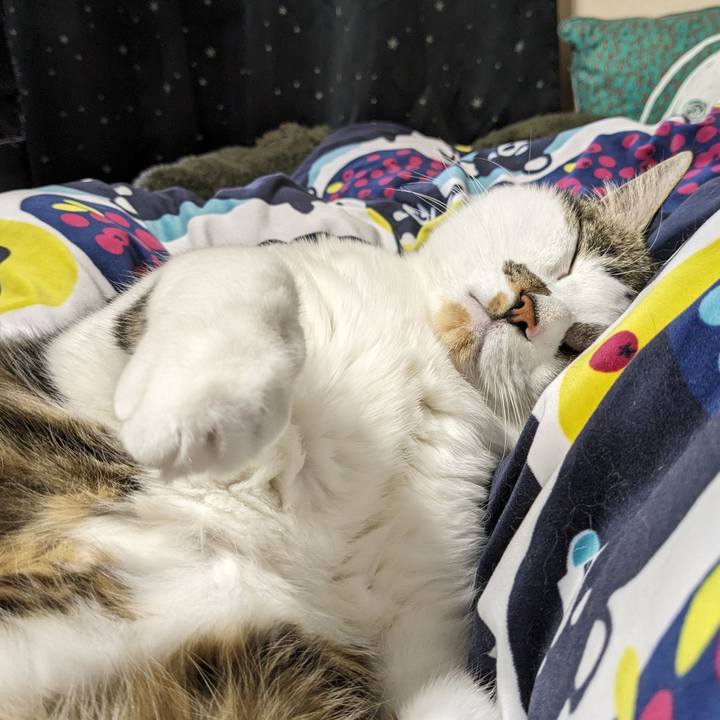 941d6f2b 38c2 468a 86ae 4961b258a004 1710639499716