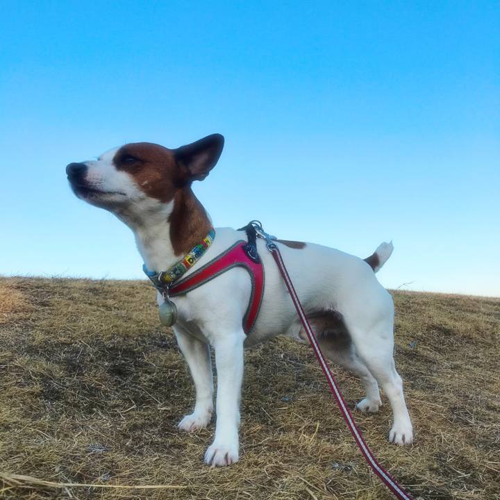 941d7f29 241b 46dd 8fad 06604104f157 1517679016943