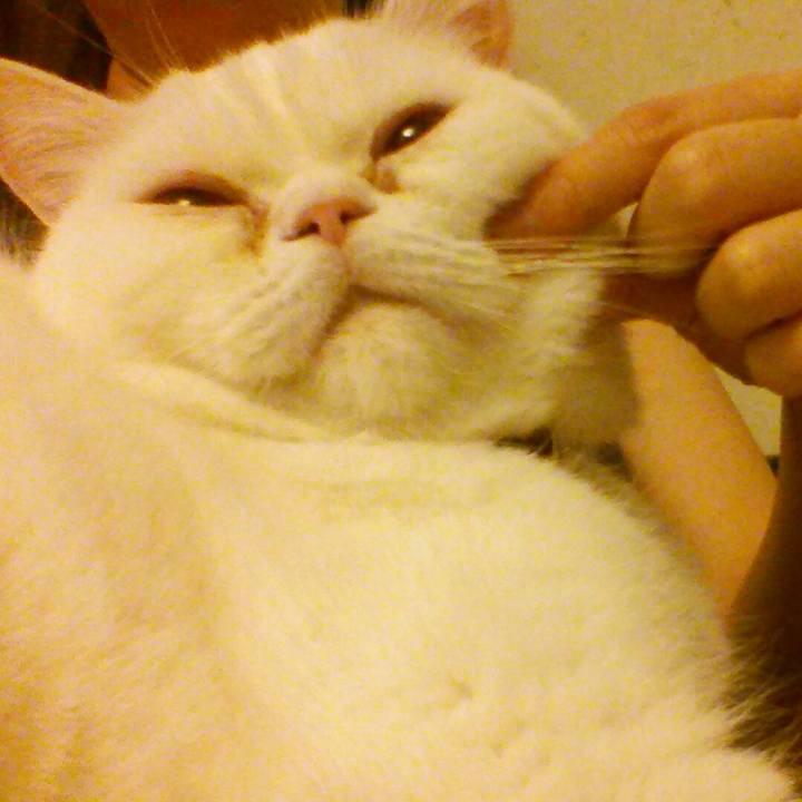 941d857b e39d 415b 8336 185786e1927b 1515020467948