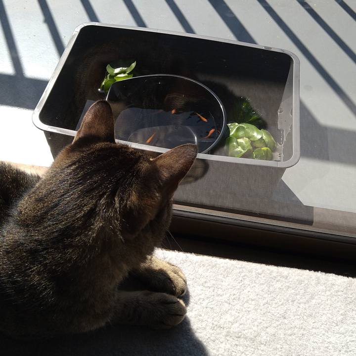 941d93f5 73c9 4a4a 9d8e 9ea0293567a6 1618031015033