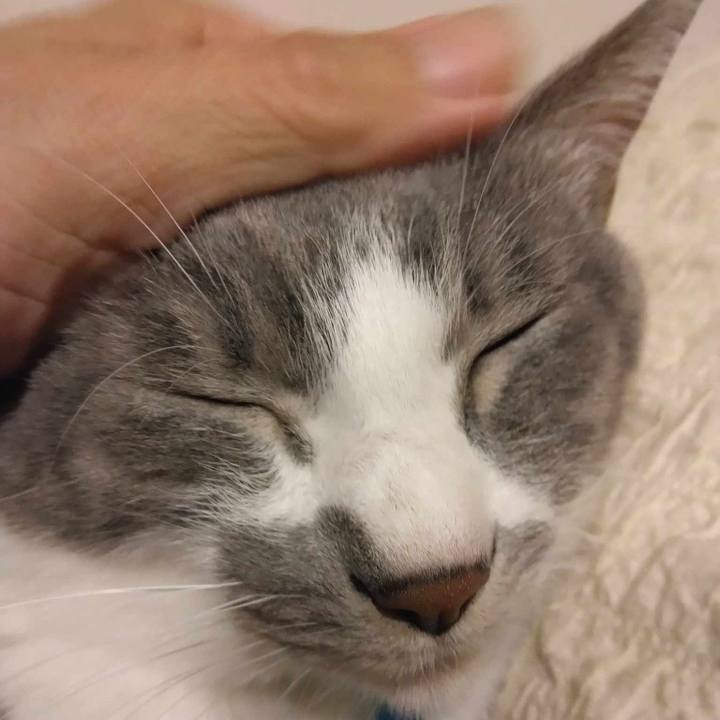 941d96d0 db5a 48f8 a558 da88a5ae51fe 1696507864346