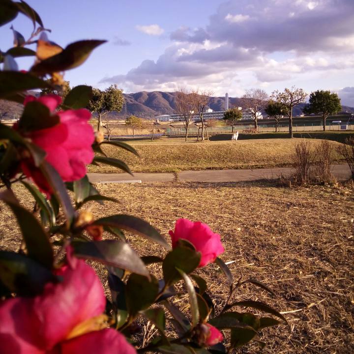 941dc1d8 efda 4e0a bcd0 17bfdd91cf9f 1516879238355