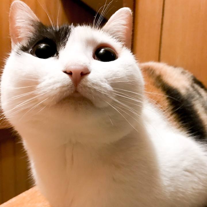 941df45c deee 4516 913a 1e1bad7ef790 1520123279139