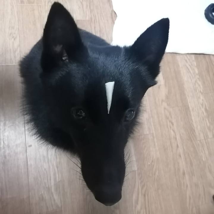 941e114a 0ed1 40d1 8511 e717be2e6275 1638311171208