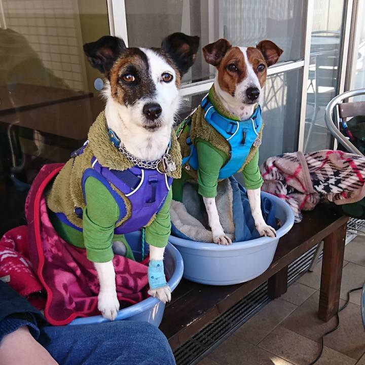 941e2ddc f8b8 4002 81ce 612f0948c17e 1612852198619