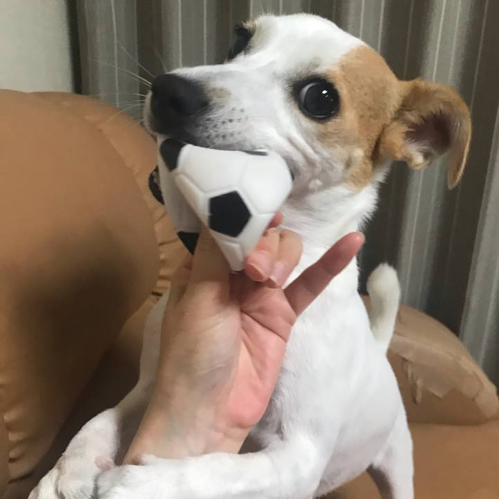 941e3a1e 5974 4478 904b bcfc6567bbc1 1599393483509