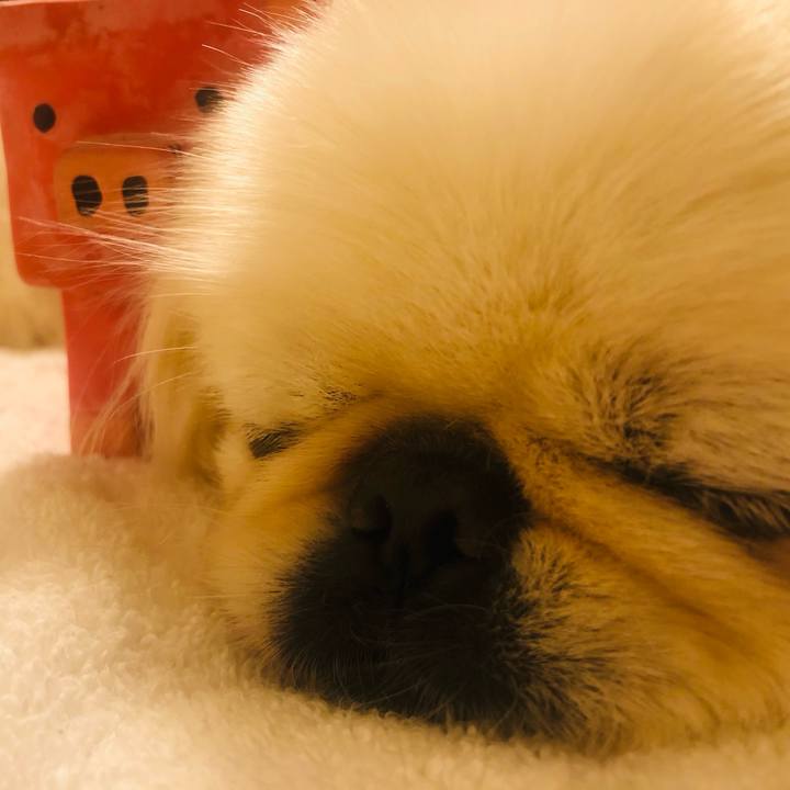 941e4035 1bd8 4b18 8bff 73699d5c3d26 1625828132671