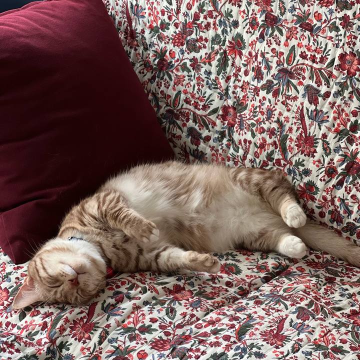 941e5d7b 00e1 4484 8562 49cbef116f68 1659663463447