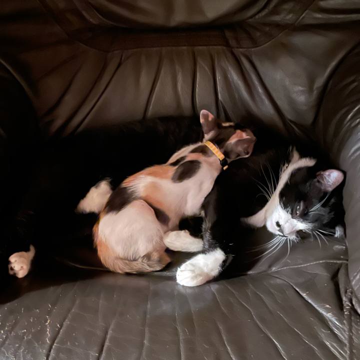 941e6b4e 4e6b 4392 ae2c 37da04a34b55 1658576122576