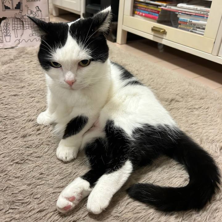 941eb1de b1e6 4968 916a fc8a1c25bc85 1768862803144