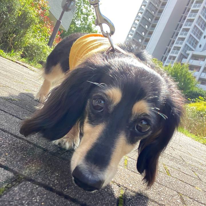 941ed099 7a2c 46d2 8c70 6d1c40856ae1 1719014731070