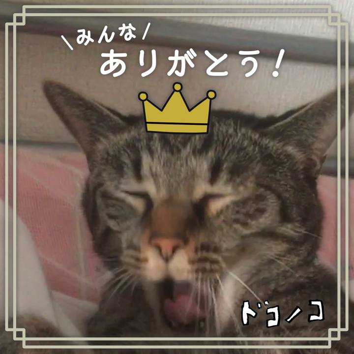 941edc60 bd9a 4edc a807 5882ecf71ebe 1622984094985