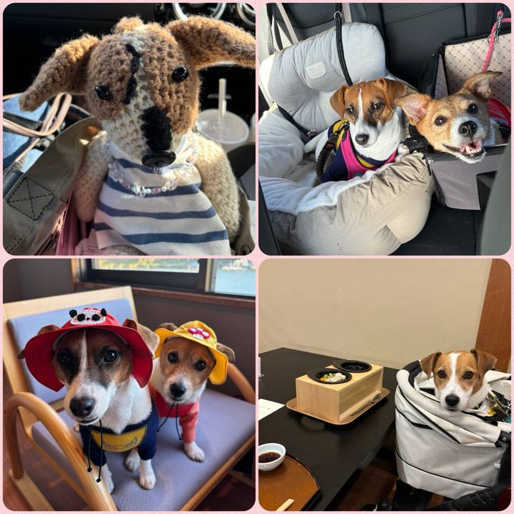 941ee25f 090e 444e 9210 6910fac53588 1726877649900