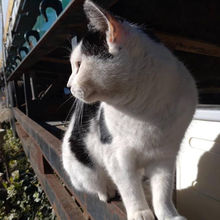 941ef060 caad 415b b2bf 9b0d7bc568dc 1733809352062