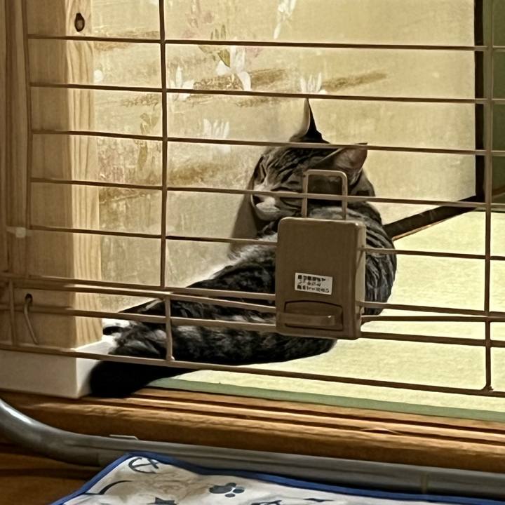 941f33cc 891d 47ca b87f 0274a2ce847f 1695716920839