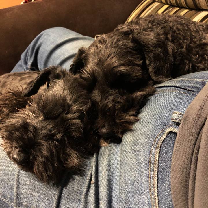 941f4578 fb77 447d 96cc 06aa811dd588 1583143918451