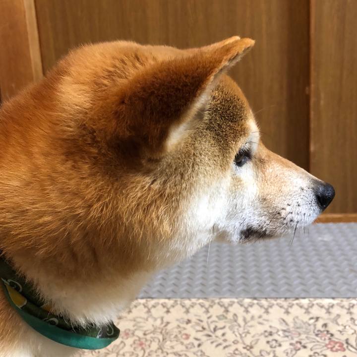 941f84cb 7635 42d1 9b2d 33958ca23b51 1526042124933