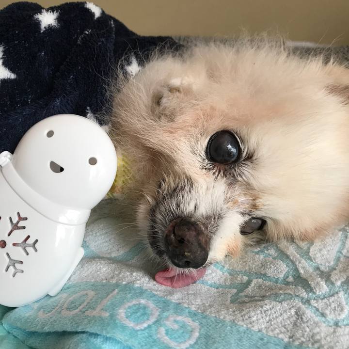 941f8906 8c95 4749 8a52 606ef9bca0b8 1544205666939