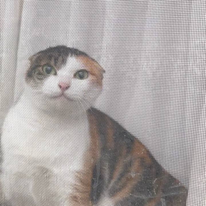 941fa17b ed29 4d8e a993 d31ec27bbac1 1641771857986